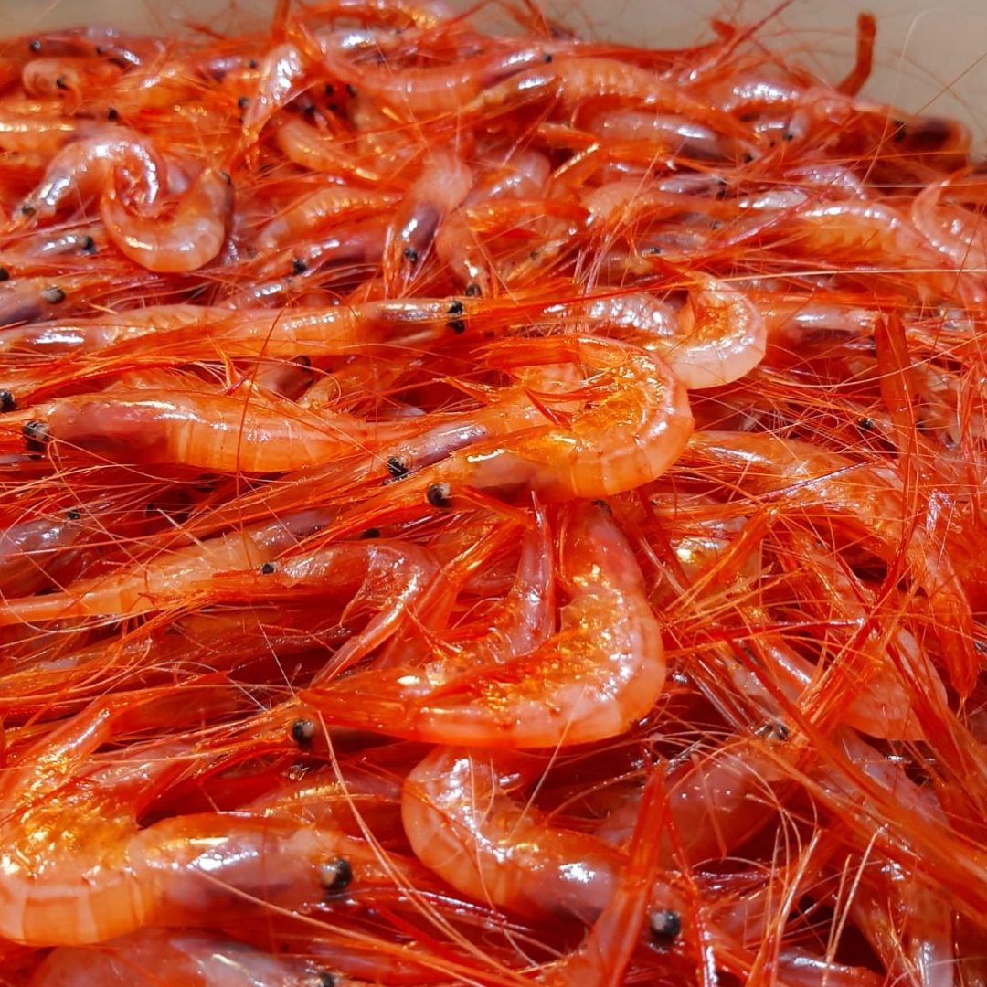 El Turpial Cafe Bar Photos 2